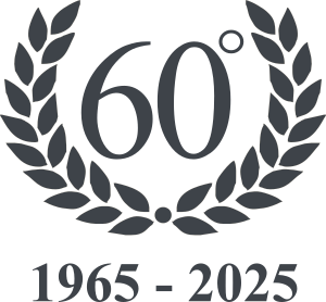 logo arrighi 60 vettoriale Anniversario 60 anni Camping Arrighi